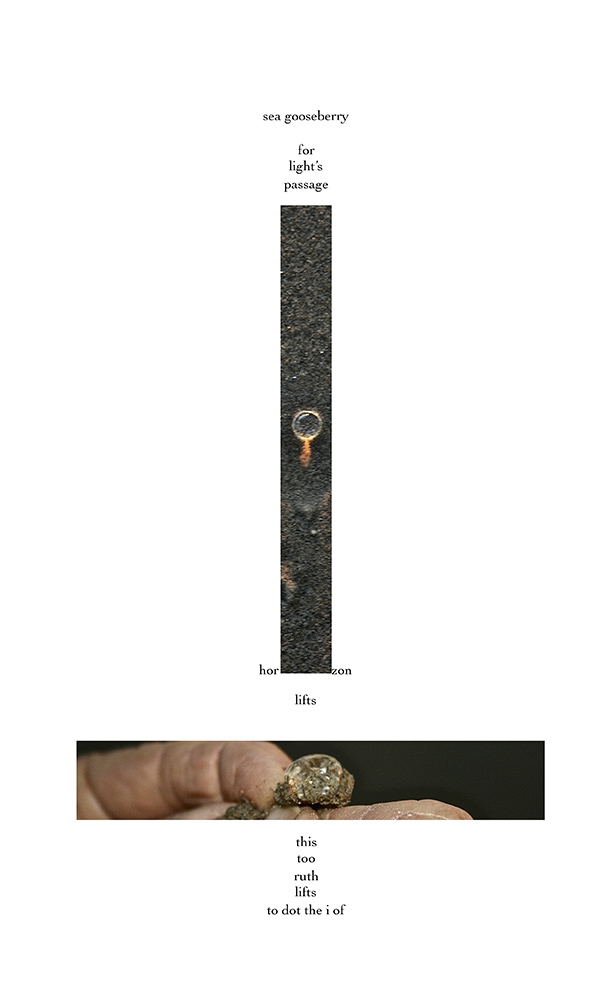 page one of sea gooseberry, a visual poem