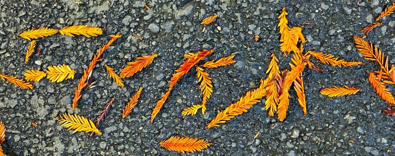 Asemic Realizations #35 (Duff)